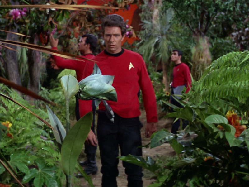 Illustration for article titled John Scalzi's Star Trek Spoof: Even Cleverer and More Moving Than You Expect